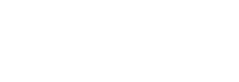 logo icon